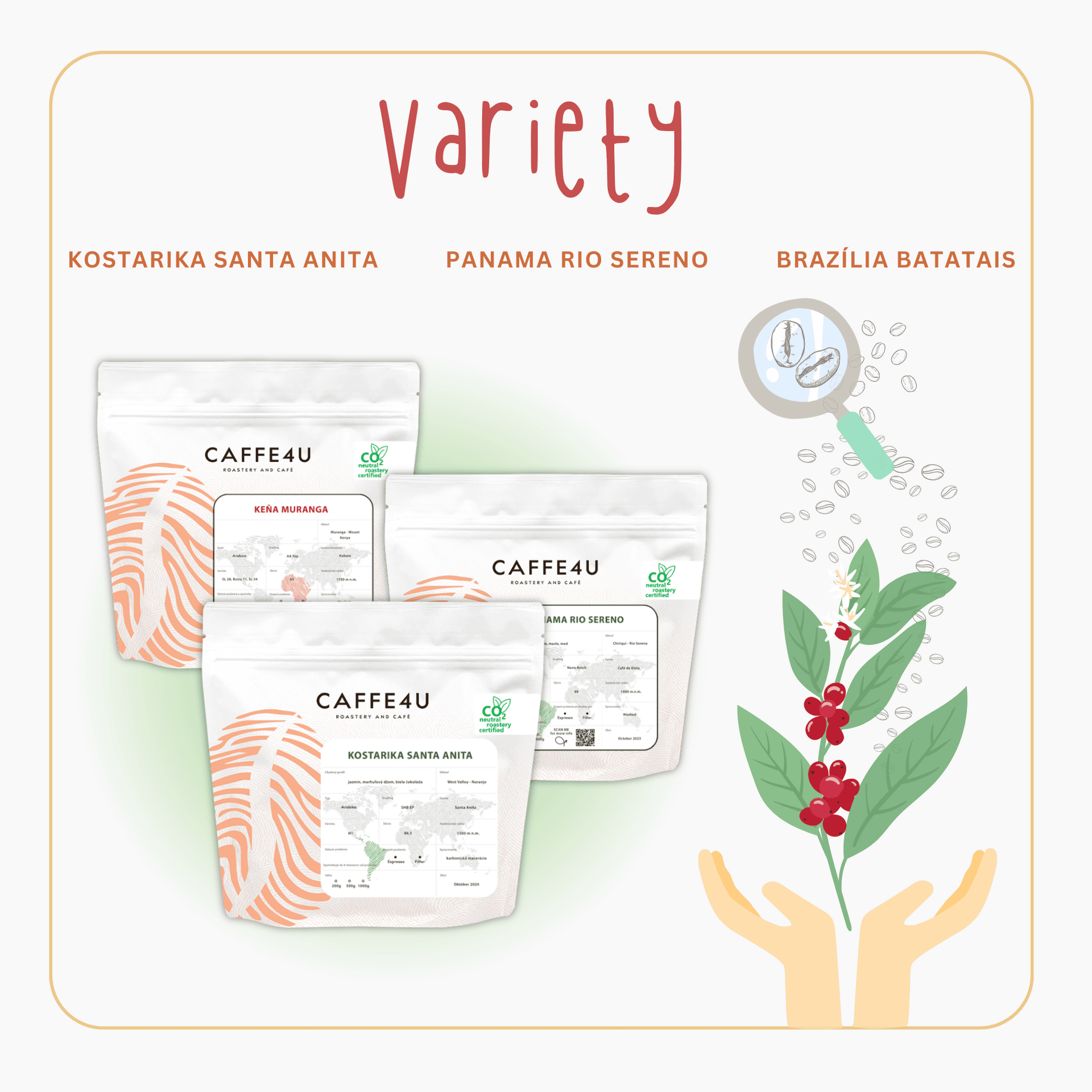 variety banner 2000 x 2000 px 2 - Caffe4U